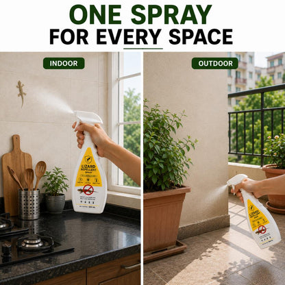 Lizard Repellent Spray |BUY 1 GET 1 FREE