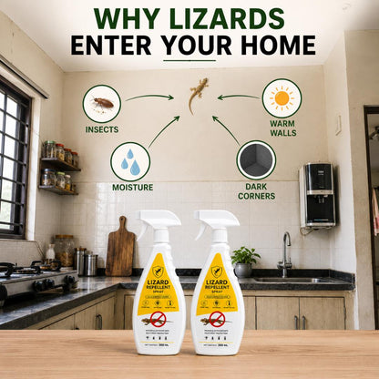 Lizard Repellent Spray |BUY 1 GET 1 FREE